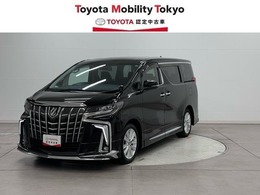 トヨタ アルファード 2.5 S モデリスタエアロ　社外マフラー　TCナビ