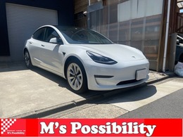 テスラ モデル3 ロングレンジAWD Bluetooth バックカメラオートパイロット