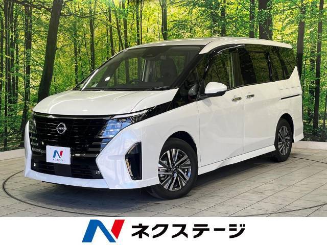 プロパイロット　全周囲カメラ　禁煙車　両側電動ドア　フルセグ　ETC