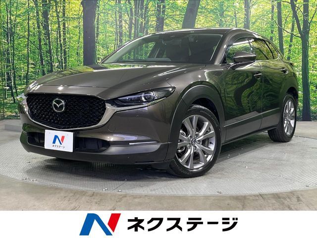 【11/14～11/16限定価格】