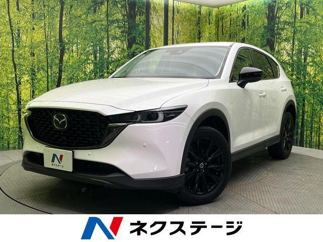 純正8型ナビ　全周囲カメラ　スマート・ブレーキ・サポート