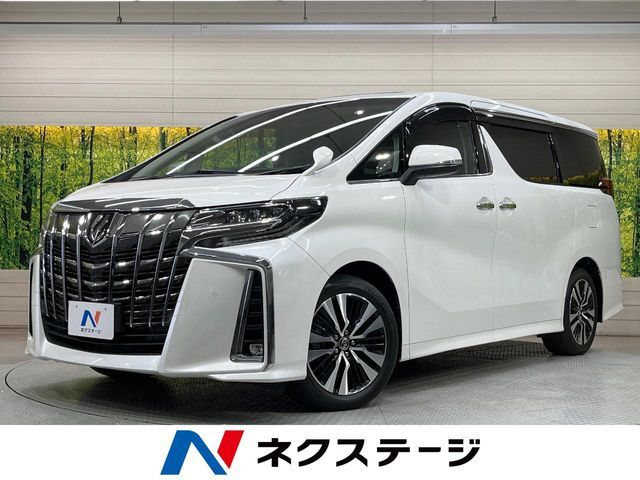 サンルーフ　両側電動スライド　BIGX11型ナビ　フリップダウン　ETC