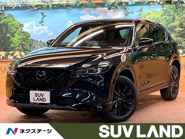 禁煙車　純正10型ナビ　全周囲カメラ　フルセグ　電動リアゲート