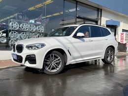 BMW X3 xドライブ20d Mスポーツ ディーゼルターボ 4WD 茶革 サンルーフ アンビエントL デイライト