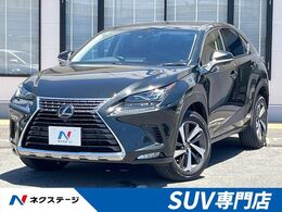 レクサス NX 300h Iパッケージ 後期　10.3型ナビ　サイド・バックカメラ