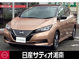 日産 リーフ e+ アーバンクロム 自動(被害軽減)ブレーキ　プロパイロット