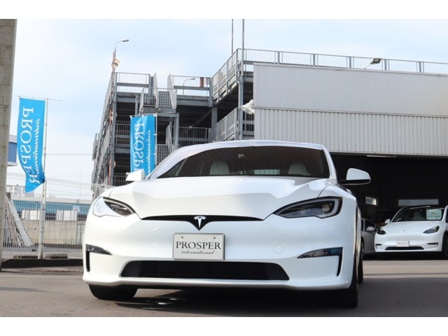 テスラ　パープルプレートLサイズ　証明書付 テスラ パープルプレートLサイズ 証明書付 - メルカリ