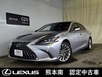 300h バージョンL