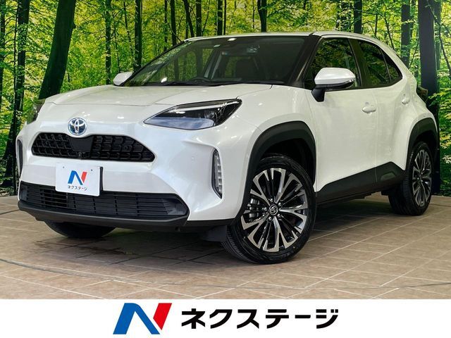 沖縄県内での販売・登録が条件※宮古島除く
