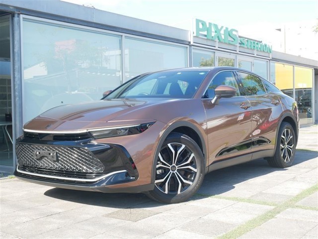 車両は高知市の高知本店にあります。