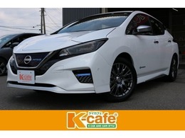 日産 リーフ AUTECH SOH値95　純正ナビ　プロパイ　全方位　ETC
