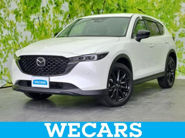WECARS（ウィーカーズ）は全国250店舗展開！お客様が安心してカーライフをお楽しみいただけるよう社員一同心を込めてサポートいたします。