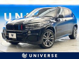 BMW X5 ブラックアウト 4WD 特別仕様車　パノラマサンルーフ　黒革　HU