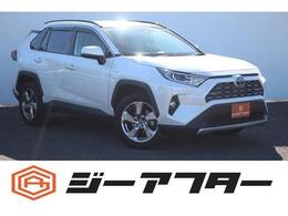 トヨタ RAV4 2.5 ハイブリッド G E-Four 4WD 雹害ナビBカメラ衝突軽減クルコン電動Rドア