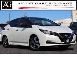 日産 リーフ X Vセレクション プロパイロット 全方位カメラ ナビTV ETC