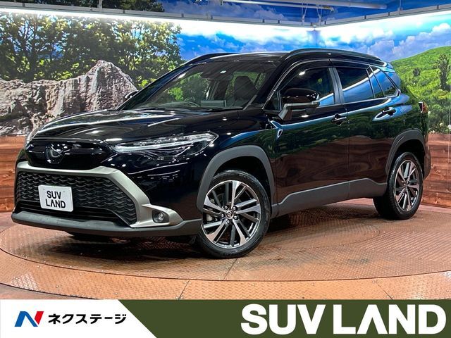 純正9型ディスプレイオーディオ　バックカメラ　ブラインドスポットモニター