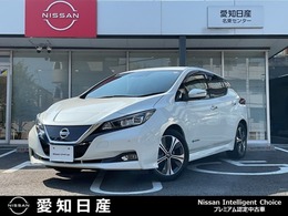 日産 リーフ G コネクトナビ　プロパイロット　寒冷地仕様