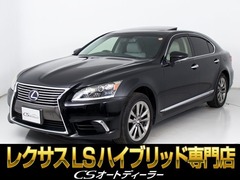 LSハイブリッド