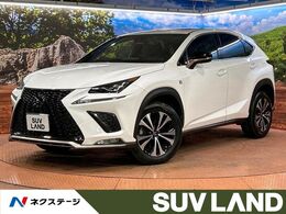 レクサス NX 300 Fスポーツ サンルーフ/Bカメ/BSM/RCC/ドラレコ/AAC