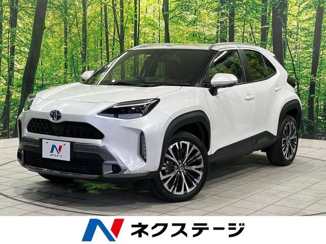 純正8型ナビ　全周囲カメラ　セーフティセンス　100V電源
