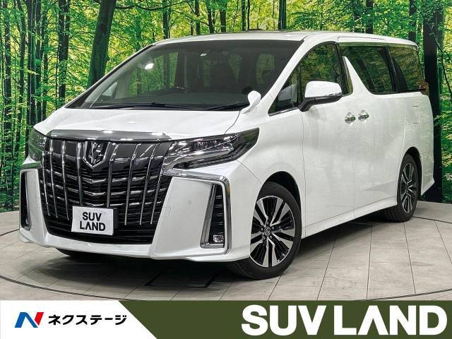 禁煙車　サンルーフ　純正9型ナビ　デジタルインナーミラー　バックカメラ