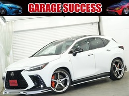 レクサス NX 350h Fスポーツ RSR車高調/M'z　エアロ/22インチ鍛造
