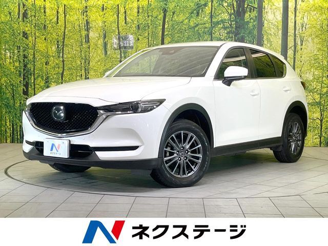 SDナビ　バックカメラ　衝突被害軽減システム　レーダークルーズ　禁煙車