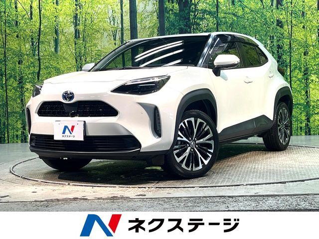 純正ナビ　全周囲カメラ　レーダークルーズ　ETC　Bluetooth