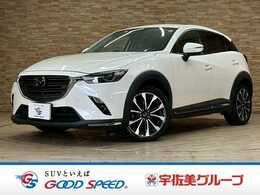 マツダ CX-3 2.0 20S プロアクティブ Sパッケージ 純正メーカーナビ　全方位　BSM　ETC