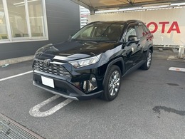 トヨタ RAV4 2.0 G Zパッケージ 4WD 衝突軽減 SDナビ ドラレコ 電子ミラー ETC