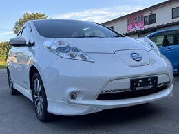 日産 リーフ 30kWh X サンクス エディション 
