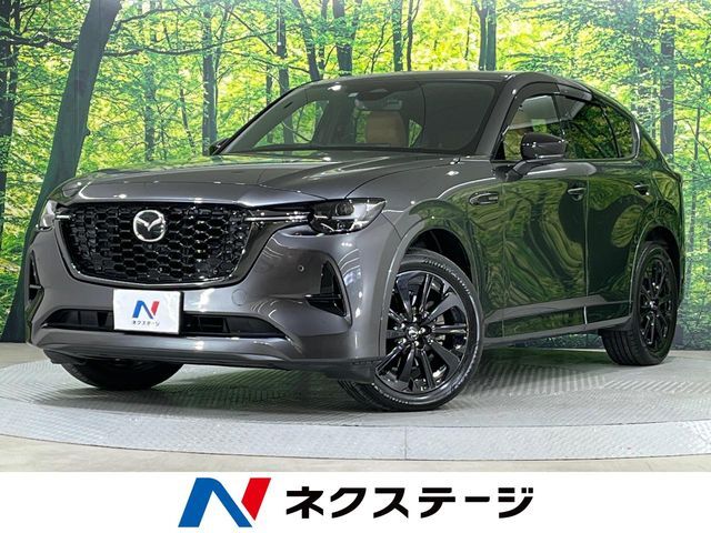 4WD　SDナビ　全周囲カメラ　BOSEサウンド　衝突被害軽減システム