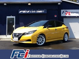 日産 リーフ S TV・ナビ・ローダウン・アルミ