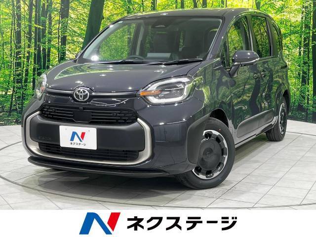 登録済未使用車　純正10.5型ナビ　両側電動ドア　アドバンストパーク