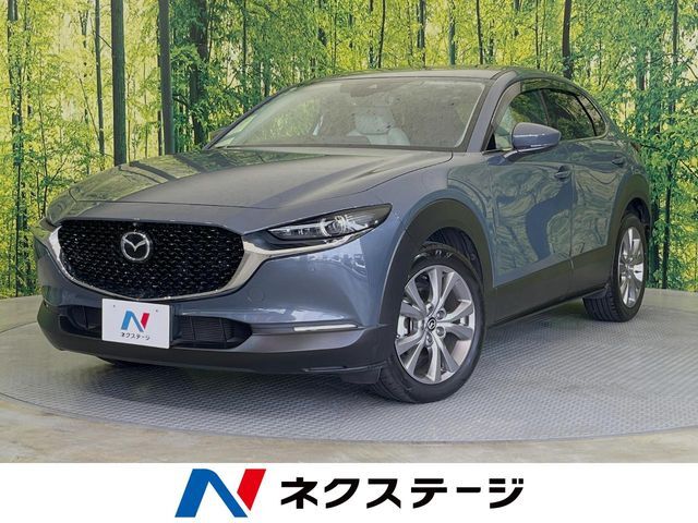純正ナビ　全周囲カメラ　衝突被害軽減システム　レーダークルーズ