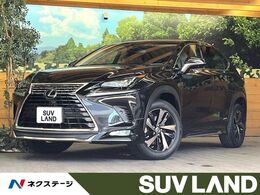 レクサス NX 300h バージョンL モデリスタエアロ 10型ナビ 茶革3眼LED