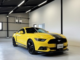 フォード マスタング 50イヤーズ エディション 正規ディーラー350台限定車
