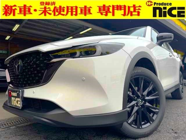 新入庫車両！SUV登録済未使用車！10.25インチディスプレイ！パワーバックドア！360度カメラ！クリアランスソナー！パワーシート！ハーフレザー！LEDヘッドライト！LEDテールランプ