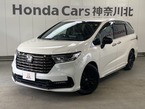 2.0 e:HEV アブソルート EX ブラックエディション