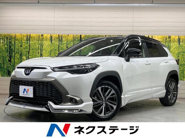 純正10.5型DA　モデリスタエアロ　全周囲カメラ