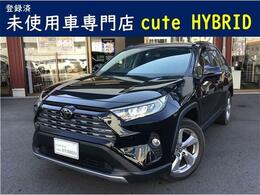 トヨタ RAV4 2.0 G 4WD ディスプレイオーディオ バックカメラ ETC