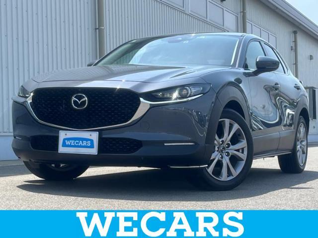 WECARS（ウィーカーズ）は全国250店舗展開！お客様が安心してカーライフをお楽しみいただけるよう社員一同心を込めてサポートいたします。