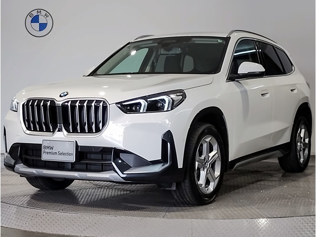 X1 20d Xライン アルピンホワイト