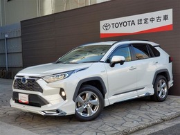 トヨタ RAV4 2.5 ハイブリッド G E-Four 4WD フルセグSDナビ フルエアロ　ETC バックM