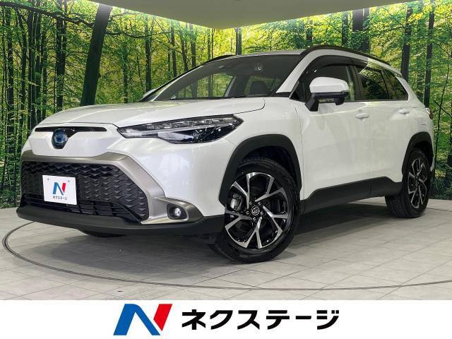 4WD　衝突軽減装置　禁煙車　レーダークルーズ　寒冷地仕様　バックカメラ