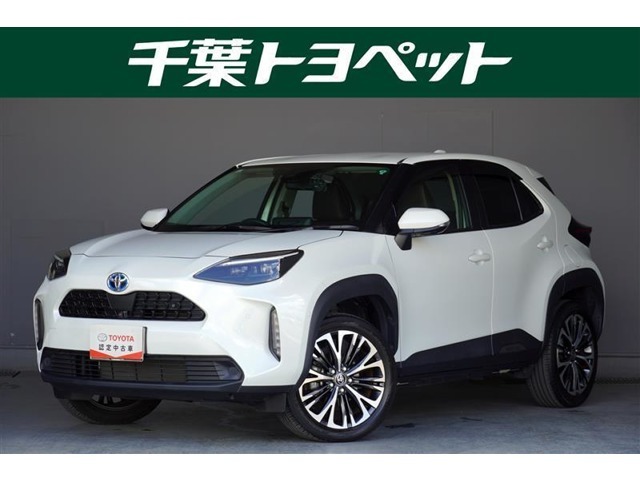 【メイン】　千葉・茨城・埼玉・東京・神奈川での登録、及びご来店いただける方への販売に限らせていただきます。