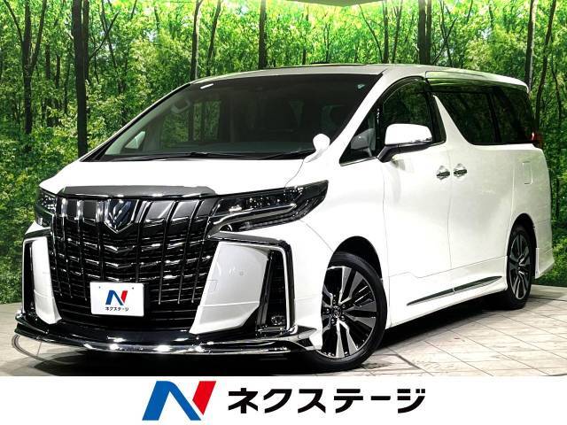 純正9型ナビ　フリップダウンモニタ　セーフティセンス　レーダークルーズ