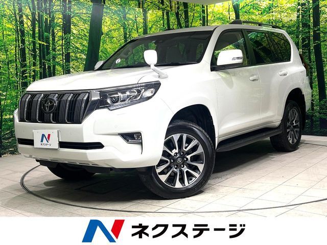 サンルーフ　7人乗り　BIG-X9型ナビ　バックカメラ