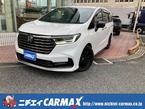 2.0 e:HEV アブソルート EX ブラックエディション