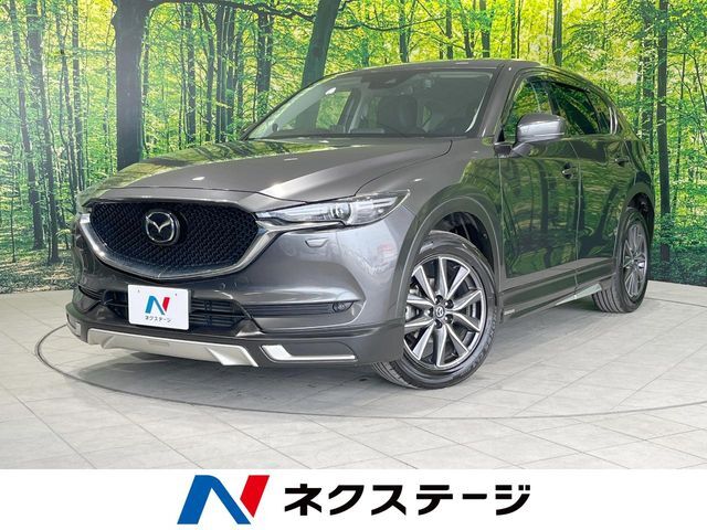LEDヘッド　レーダークルーズ　オートエアコン　プッシュスタート　禁煙車